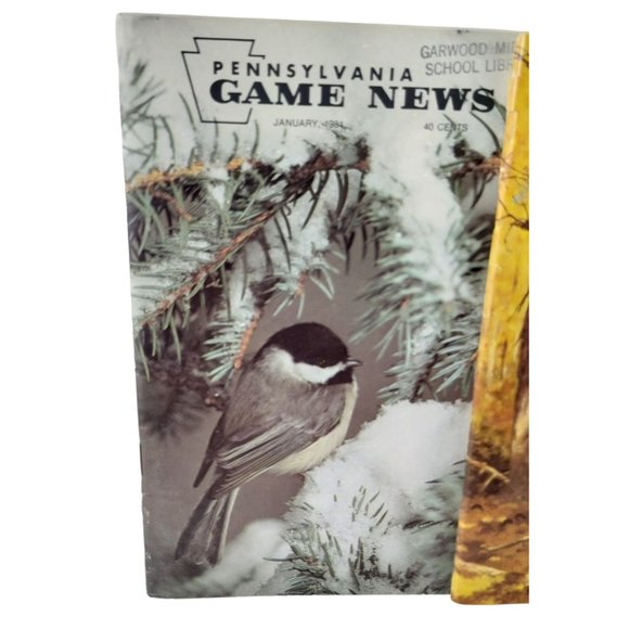 Pennsylvania Game News 4 issues 1979 to 1981 Hunting Trapping Fishing Wildlife - Picture 5 of 6